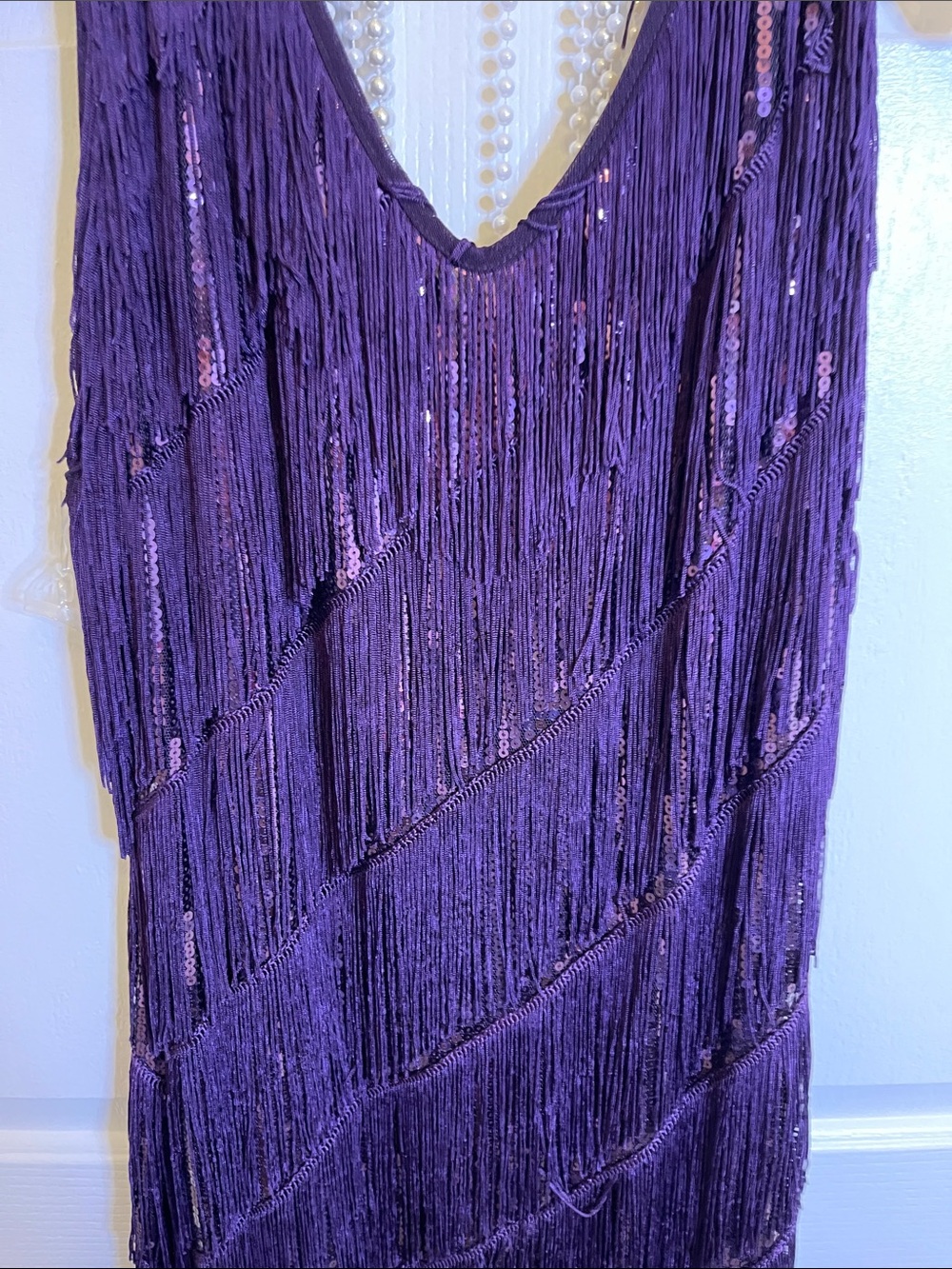 PRETTY GUIDE. 1920's Purple Flapper Dress